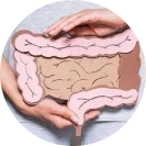 APERFEIÇOA O FUNCIONAMENTO INTESTINAL